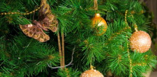 Alberi di natale 55 0 Alberi di natale_ok